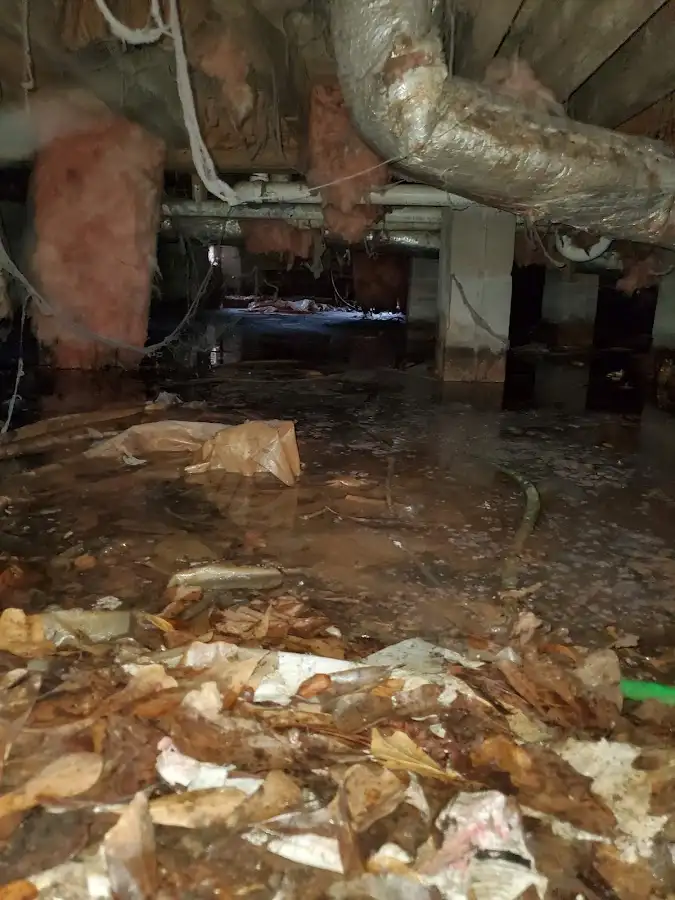 Crawl space flood assessment for Leak Detection & Repair in Central